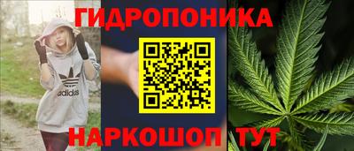 прущие грибы Бугуруслан